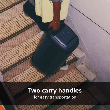 Патибокс Sony SRS-XV500