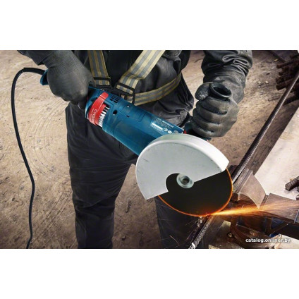 Угловая шлифмашина Bosch GWS 24-230 P Professional 06018C3100