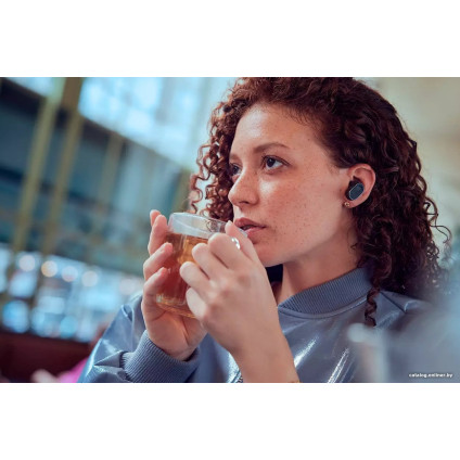 Наушники Philips Fidelio T2/00