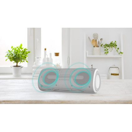 Беспроводная колонка JVC XS-E423 (серый)