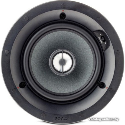 Focal 100ICW5