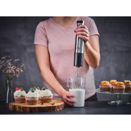 Погружной блендер ETA Spesso II 3215 90000