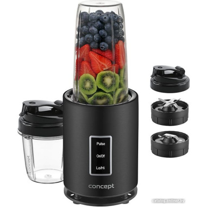 Стационарный блендер Concept SM1500