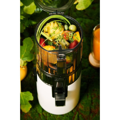 Соковыжималка Hurom H70 Pure (белый)