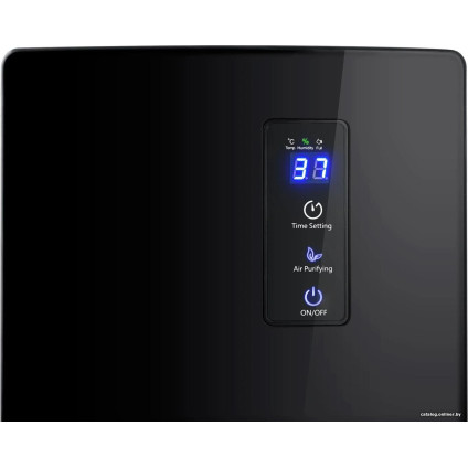 Осушитель воздуха Berdsen BR-20 (черный)