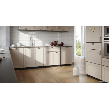 Очиститель воздуха Airfree Duo