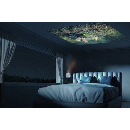 Проектор Optoma ML1080ST