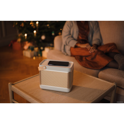 Беспроводная колонка Bang & Olufsen Beolit 20 (серый)