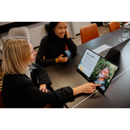 Портативный монитор Verbatim PMT-17-4K 32239