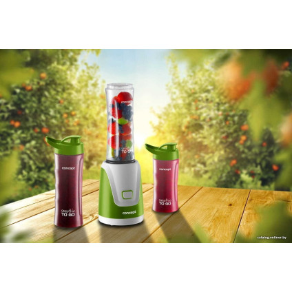 Стационарный блендер Concept SM3365