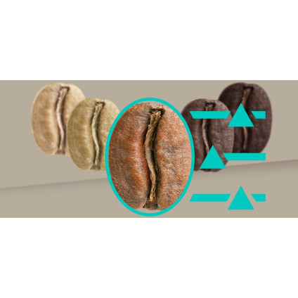 Кофемашина Siemens EQ900 TQ903RZ3