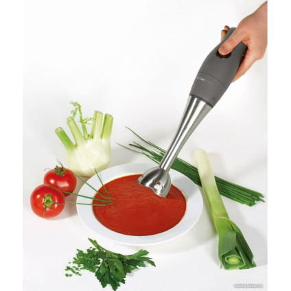 Погружной блендер Clatronic SMS 3777