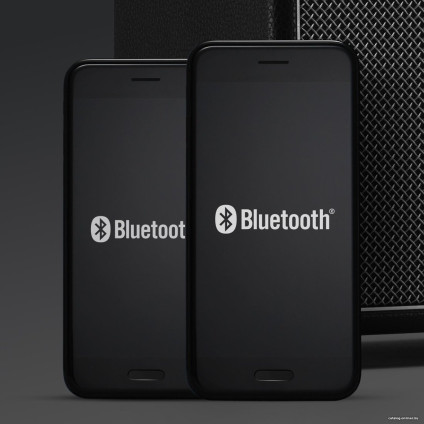 Беспроводная колонка Marshall Tufton (черный/латунь)