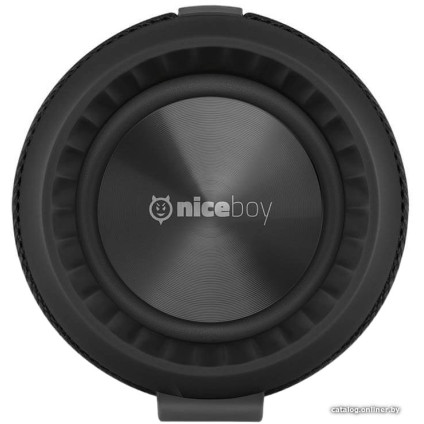 Беспроводная колонка Niceboy Raze 2 Ego