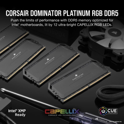 Оперативная память Corsair Dominator Platinum RGB 2x32ГБ DDR5 6600 МГц CMT64GX5M2B6600C32