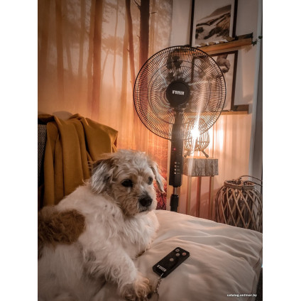 Вентилятор N'oveen F455