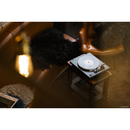 Виниловый проигрыватель Rekkord Audio F300 (AT91, коричневый)