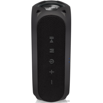 Беспроводная колонка Niceboy Raze 3 Radion