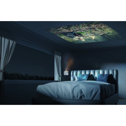 Проектор Optoma ML1080