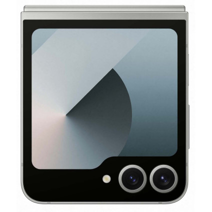 Телефон Samsung Galaxy Z Flip6 SM-F741B 12GB/256GB (серый)