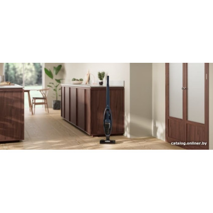 Пылесос Electrolux ES52B25WET