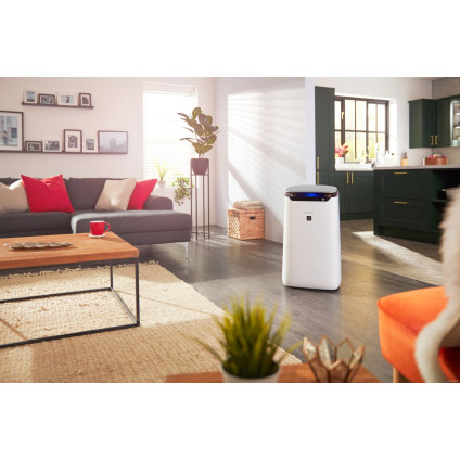 Очиститель воздуха Sharp FP-J60EU-W