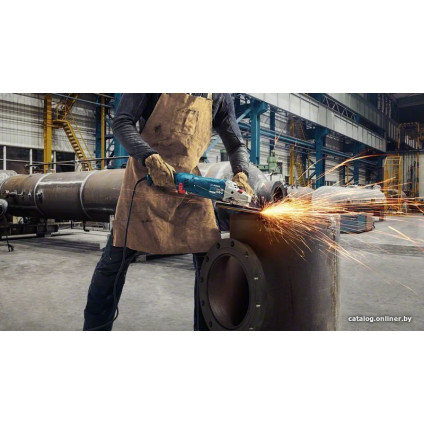 Угловая шлифмашина Bosch GWS 24-230 P Professional 06018C3100