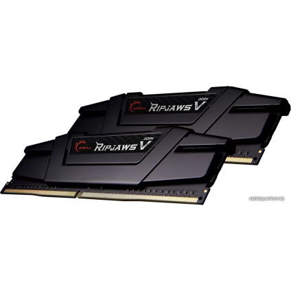 Оперативная память G.Skill Ripjaws V 2x16GB DDR4 PC4-25600 [F4-3200C16D-32GVK]