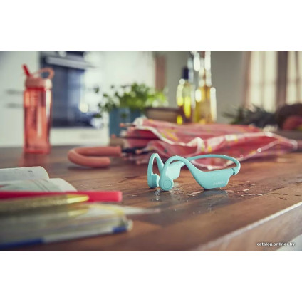 Наушники Philips TAK4607GR/00