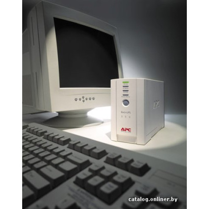 Источник бесперебойного питания APC Back-UPS CS 350VA (BK350EI)