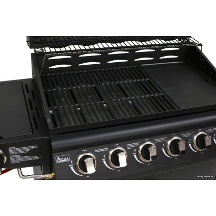 Газовый гриль для дачи Activa Florida III 19786G