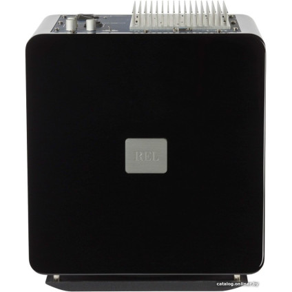 Проводной сабвуфер REL T/9x (черный)