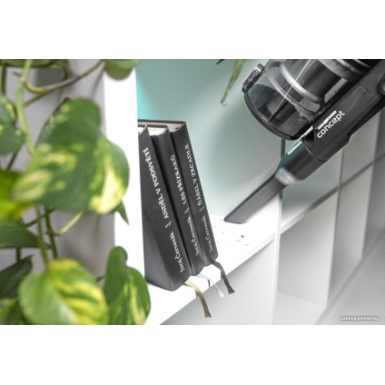 Пылесос Concept VP6025