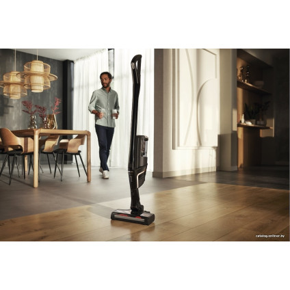 Пылесос Miele Triflex HX2 Cat & Dog SOML0 (черный)