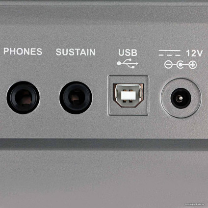 Синтезатор Medeli A100