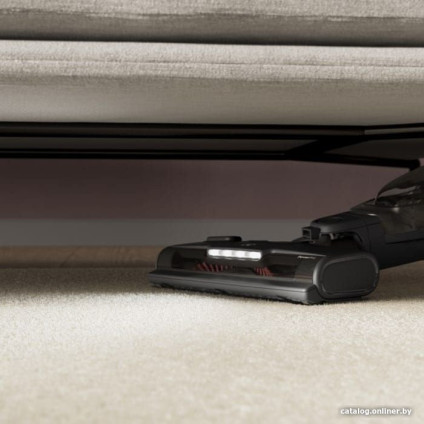 Пылесос Electrolux ES52B25WET