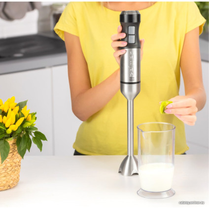 Погружной блендер Zelmer ZHB4752 Vario