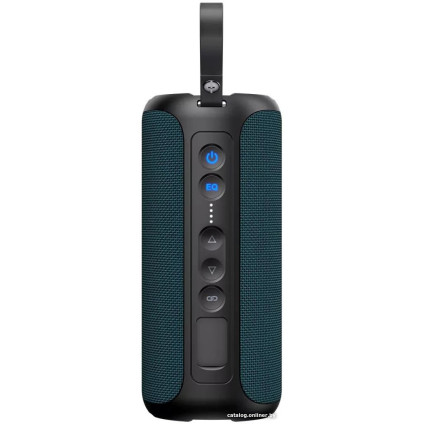 Беспроводная колонка Canyon OnMove 15 (черный/синий)