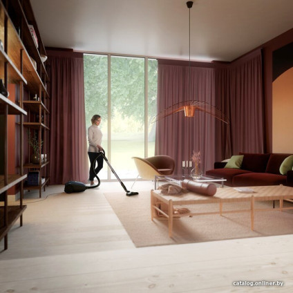 Пылесос Electrolux PD82-8DB