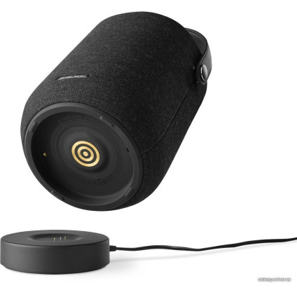 Умная колонка Harman/Kardon Citation 200 (черный)