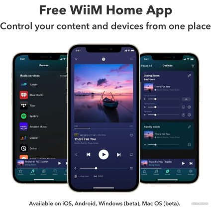 Сетевой интегральный усилитель WiiM Amp (серебристый)