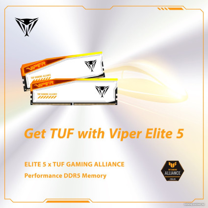 Оперативная память Patriot Viper Elite 5 RGB TUF Gaming Alliance 2x16ГБ DDR5 6000 МГц PVER532G60C36KT