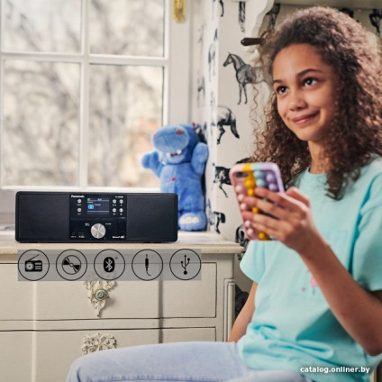 Музыкальный центр Panasonic SC-DM202EG-K