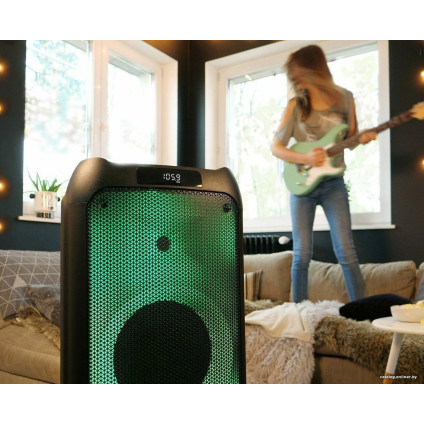 Патибокс Blaupunkt PB10DB