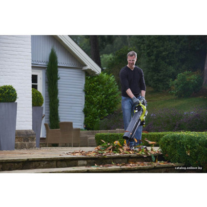 Колесная воздуходувка Ryobi RBV36B [5133002524]