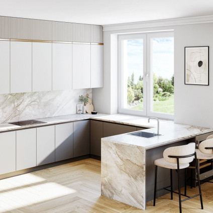 Кухонная мойка Lanilia Evier 40.1 Inox