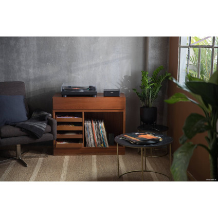 Сетевой интегральный усилитель Bose Music Amplifier