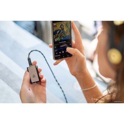 Портативный усилитель iFi audio Go Blu