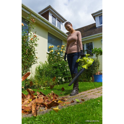 Ручная воздуходувка Ryobi RBV3000CSV