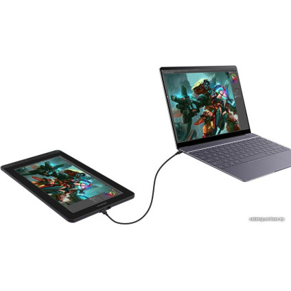 Графический монитор Huion Kamvas 13 (космический черный)